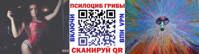 купить  цена  Славгород  Галлюциногенные грибы прущие грибы 