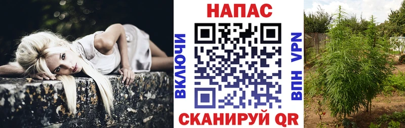 Конопля White Widow  KRAKEN   Славгород  даркнет сайт 